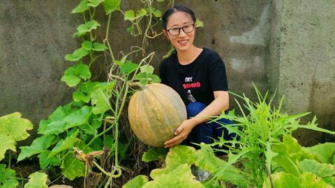 吃瓜18完结,揭秘娱乐圈背后的真相与秘密