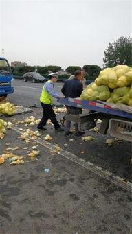 吃瓜群众 公路新闻,公路新闻背后的故事与真相