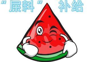 吃瓜偶现,揭秘娱乐圈幕后真相