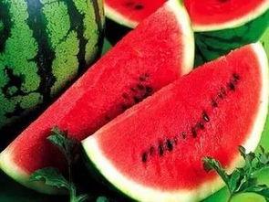 吃瓜含糖量,揭秘吃瓜界的含糖量之谜