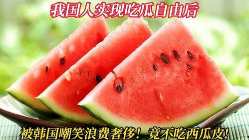 韩国吃瓜,揭秘吃瓜群众的狂欢盛宴