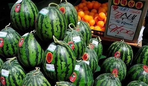 韩国吃瓜,揭秘吃瓜群众的狂欢盛宴