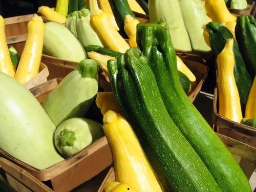 9.924小时吃瓜,一场别开生面的吃瓜盛宴