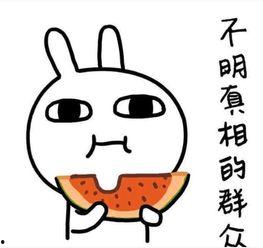 勺子吃瓜文案搞笑,笑料横飞，一场舌尖上的喜剧盛宴！