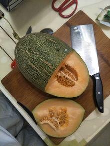 吃哈密瓜抖音,哈密瓜的甜蜜诱惑，尽在这一口