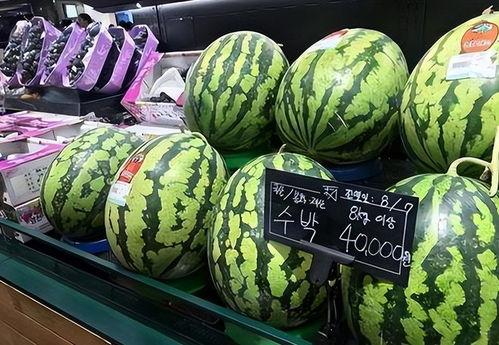 韩国瓜在哪里吃,探索韩国瓜果的独特风味