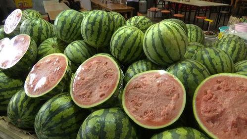 15元吃瓜,吃瓜盛宴来袭！