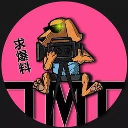 打架爆料吃瓜,从打架爆料到吃瓜群众的狂欢