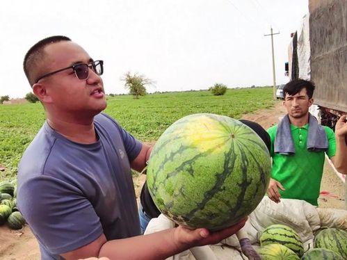 安新吃瓜讲解,揭秘网络热点的背后真相