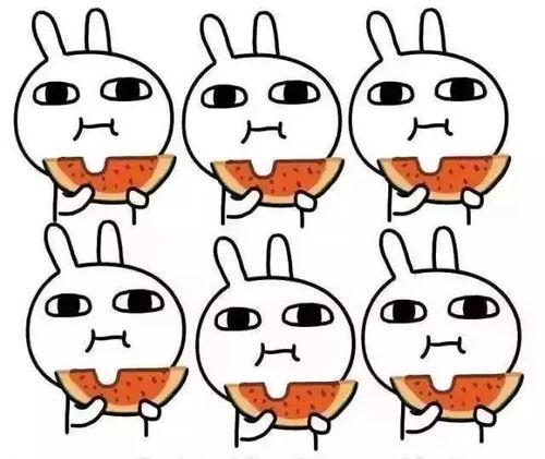 吃瓜的引路人,探寻人生百态的趣味之旅