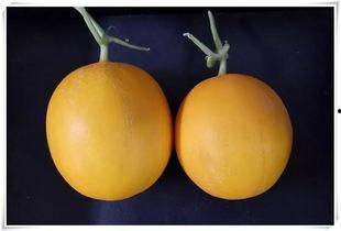 平阴最新吃瓜,最新吃瓜事件大盘点