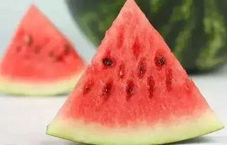 冬天吃哪个瓜好,冬季最佳瓜类推荐