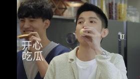 姐夫吃瓜,揭秘姐夫吃瓜背后的故事与真相