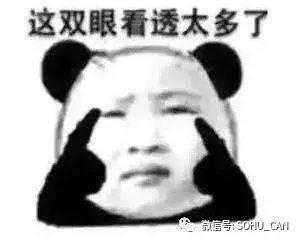 傻瓜吃的瓜,揭秘那些让人笑到肚子疼的瓜事