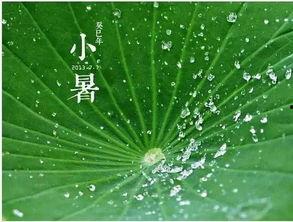 瓜瓜吃瓜幼儿古诗,童趣盎然——幼儿古诗中的趣味生活