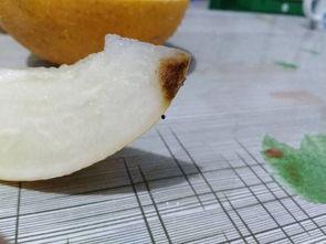 小白瓜哈密瓜怎么切开吃,小白瓜哈密瓜的完美切开与美味食用指南