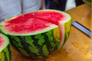 广东学校吃瓜,广东校园瓜果飘香记