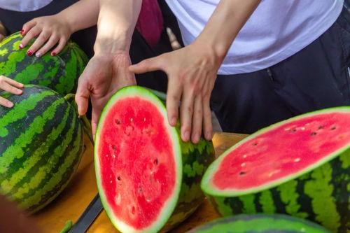 广东学校吃瓜,广东校园瓜果飘香记