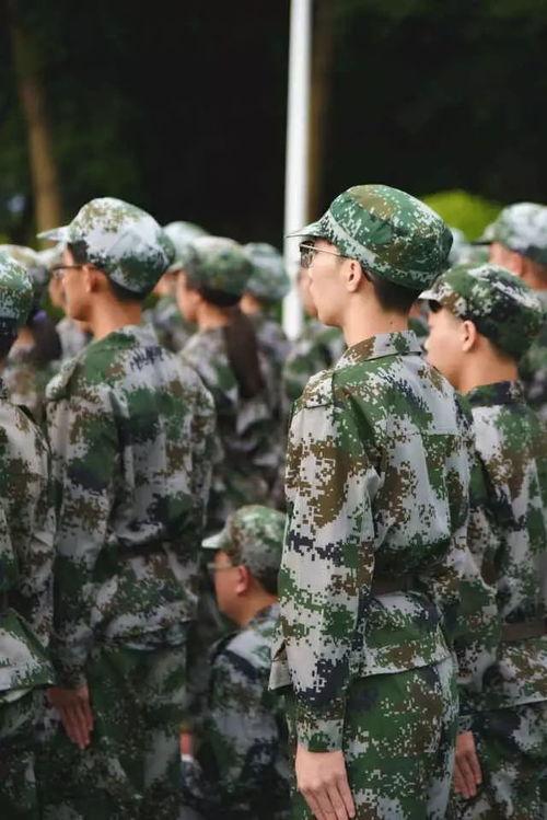 军训视频吃瓜,吃瓜群众围观“瓜农”日常