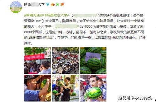 陕西吃瓜大学招生,招生亮点与特色解读