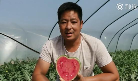 520吃瓜,揭秘娱乐圈甜蜜背后的秘密