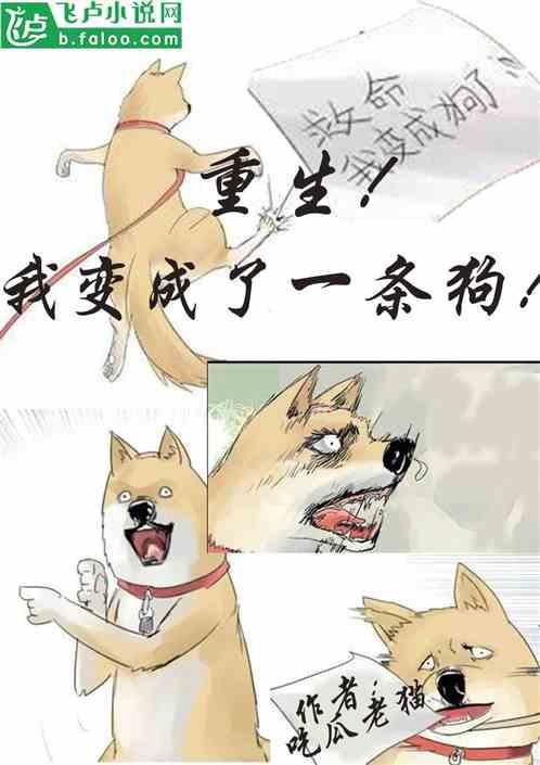 吃瓜精神小说,揭秘娱乐圈的幕后风云