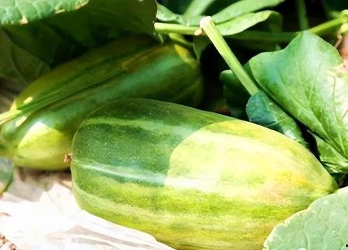 秋天有什么瓜吃,盘点秋季时令瓜果美味