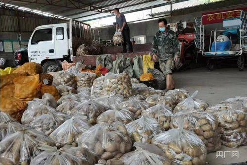 泉州疫情吃瓜群众图片,吃瓜群众视角下的实时动态