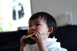 红头发女孩吃瓜,红头发女孩的瓜田奇遇记