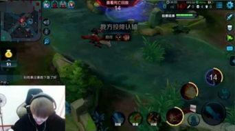 吃瓜xq knight,揭秘电竞圈的甜蜜瓜田