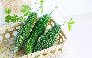 油葵瓜怎么吃,探索美味与营养的完美结合