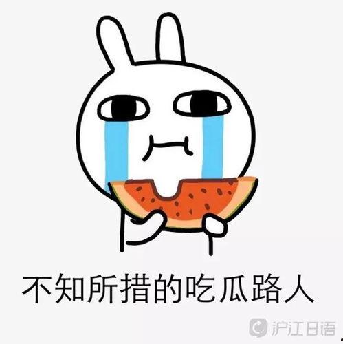 _吃瓜吃到自己,我的奇妙转变之旅