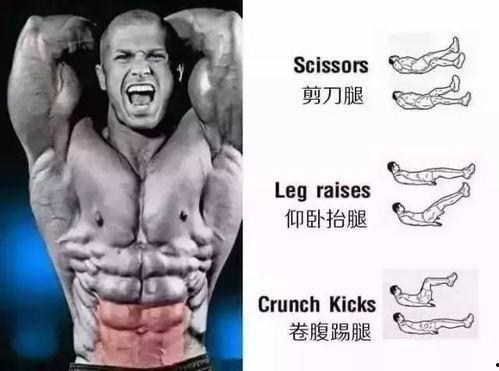 腹肌张张吃瓜,揭秘健身达人的美食与健身生活