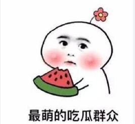 别人骗你吃瓜文案,警惕网络陷阱，守护你的信息安全